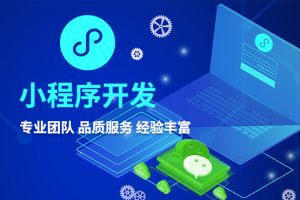 上海小程序定制開發(fā)公司